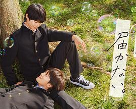 恋夜秀场院安卓版海报剧照