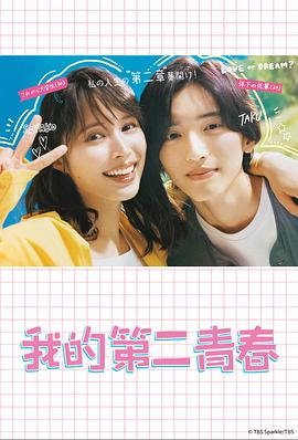 人人艹国产精品海报剧照